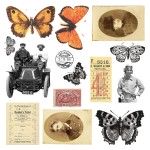 Butterfly Effect – Pad 6x6