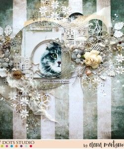 Kitten by Elena Martynova